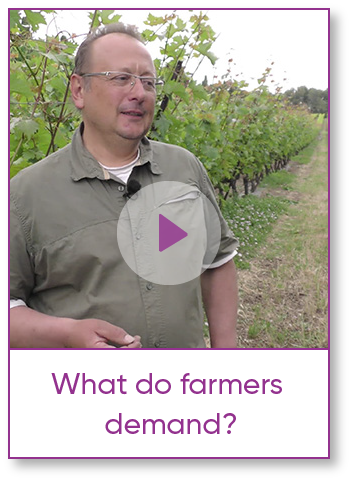 Zorvec and Grapes - What do farmers demand?